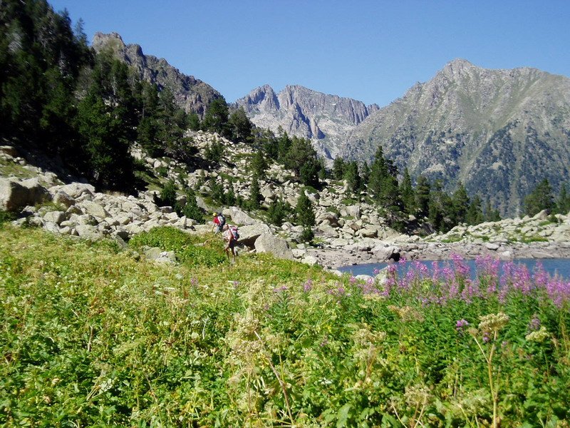 Monestero aintzira