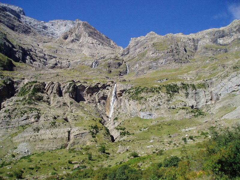 Cinca urjauzia