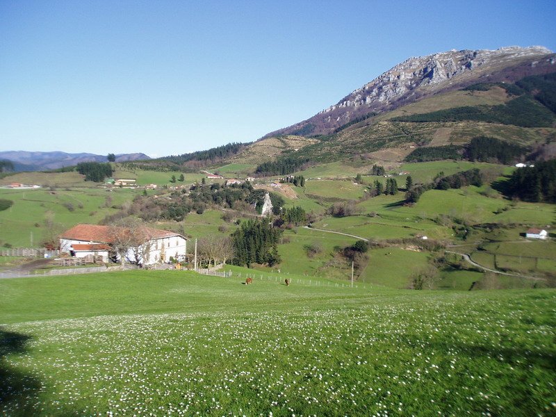 Bolibar bailara