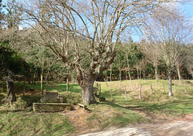 Naparrenako iturria