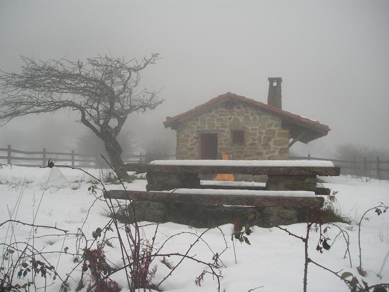 TXABOLA