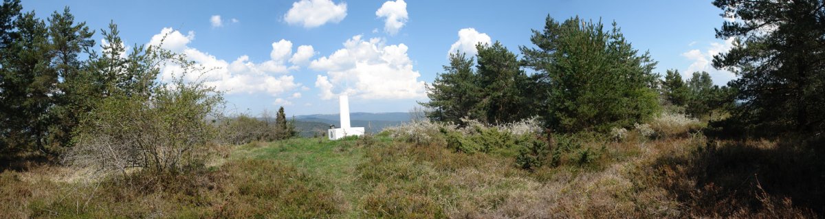Tontorra
