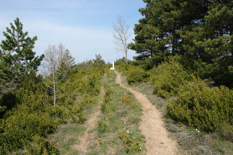 Malkaitz: tontorra