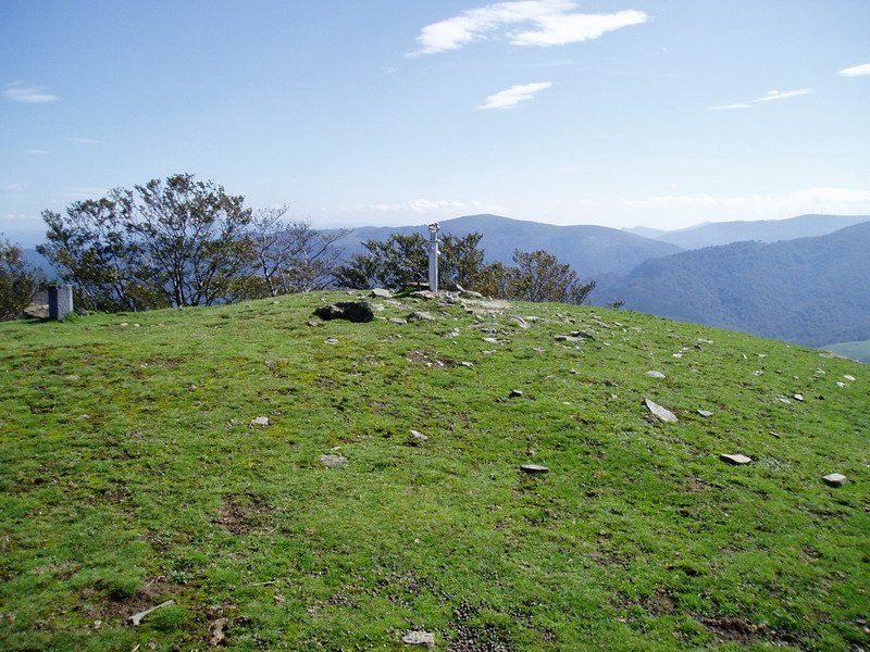 Urepel