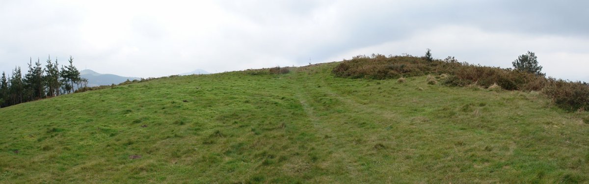Tontorra