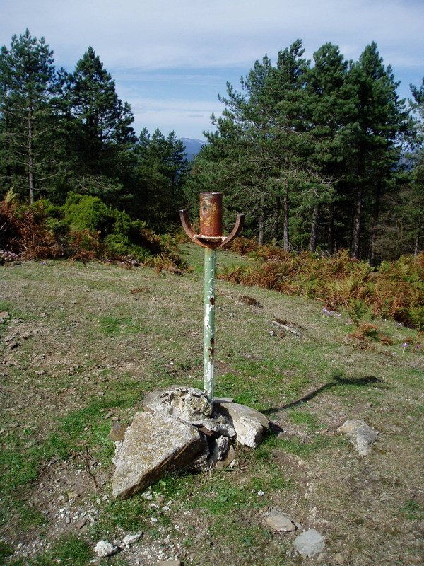 Buzoia