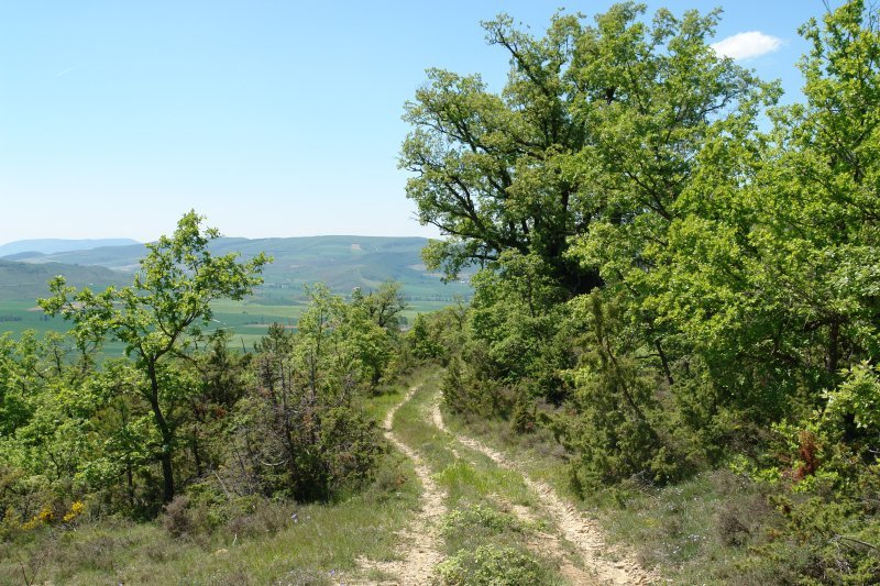 Iriso aldeko bidea