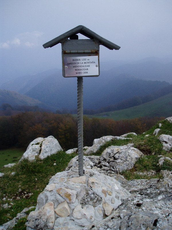Buzoia