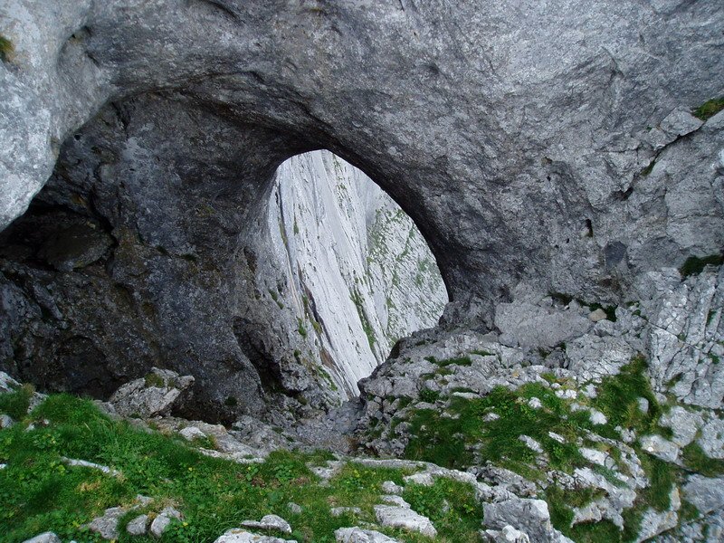 Bentaneta begia