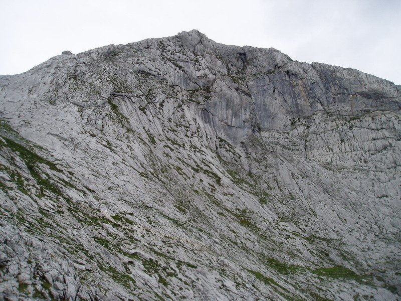 Ekialdetik ikusita