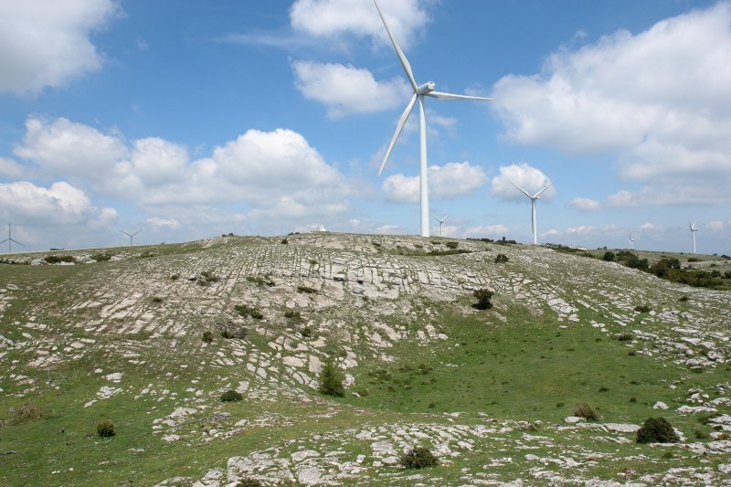 Tontorra