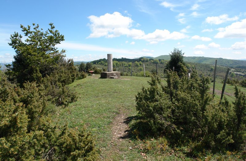 Tontorra