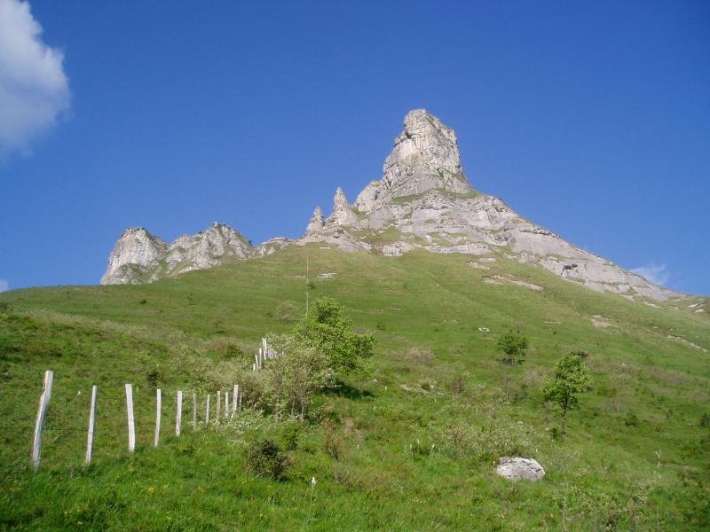Tologorri