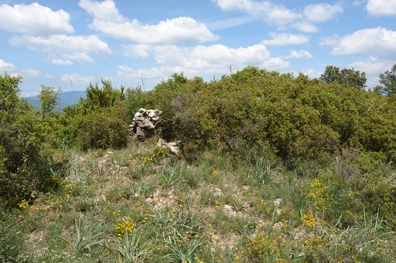 Tontorra