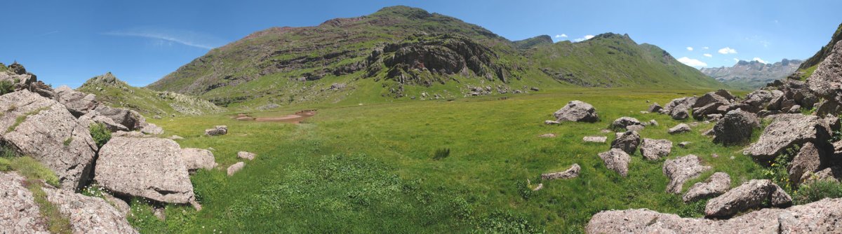 IMtik