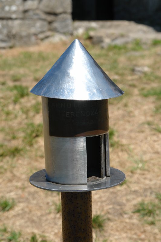 Buzoia