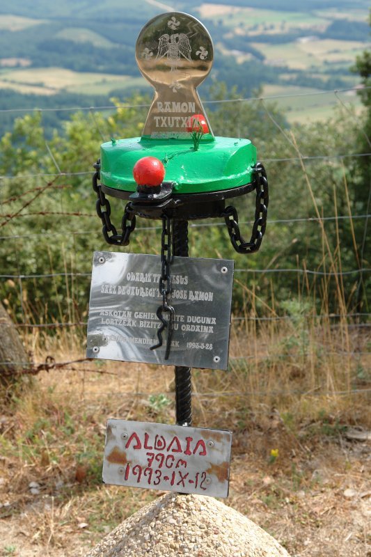Buzoia