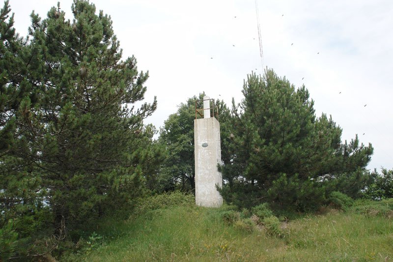 Tontorra