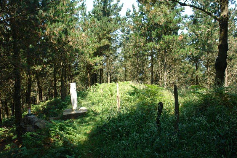 Tontorra