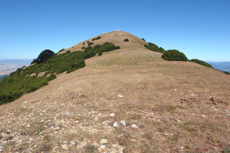 Tontorra ekialdetik