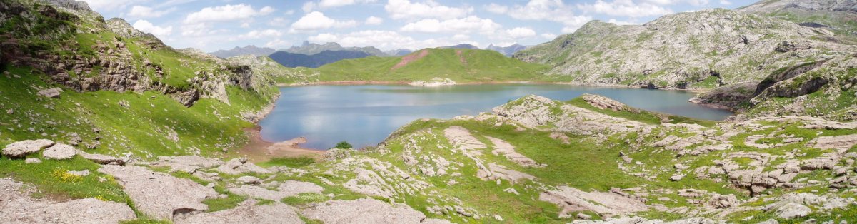 Estanes aintzira