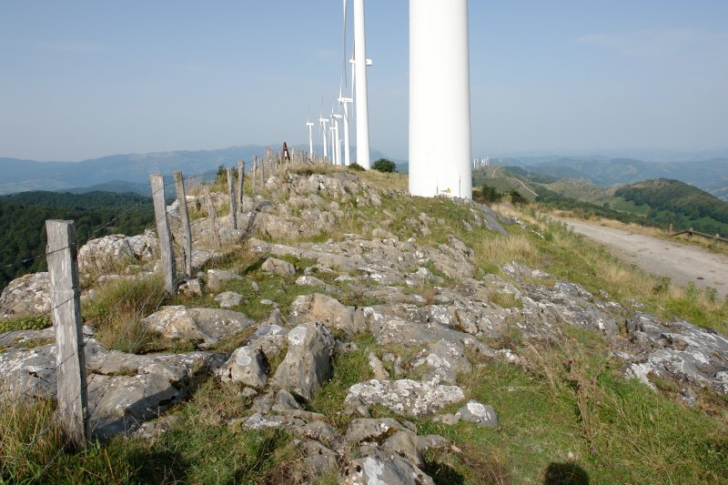 Tontorra