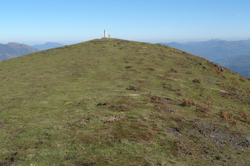 Tontorra