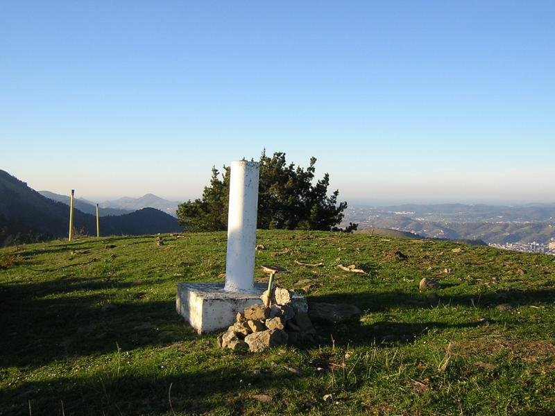 Pastorekortaburu