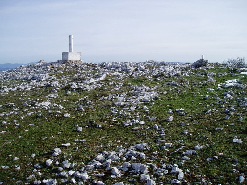 Leroneko tontorra