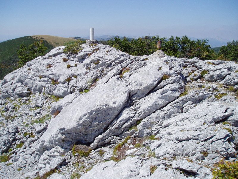 Tontorra