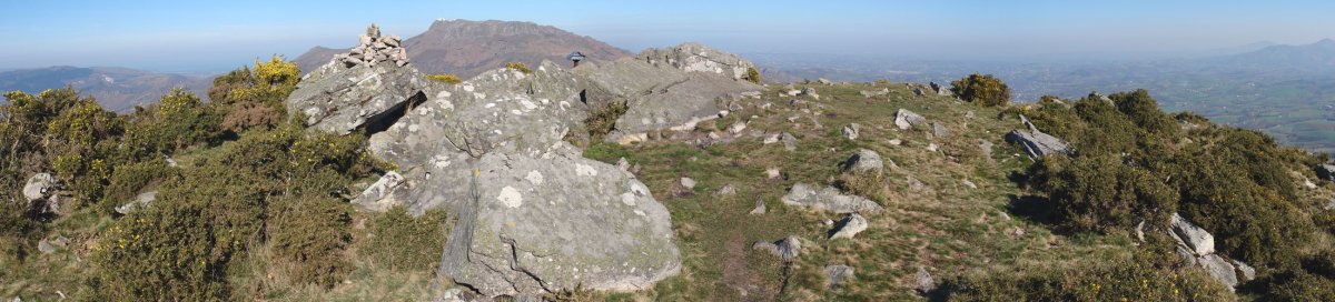 Tontorra