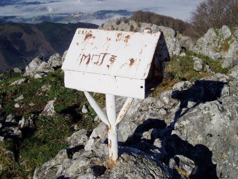 Buzoia