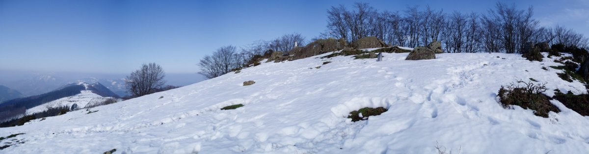 Tontorra