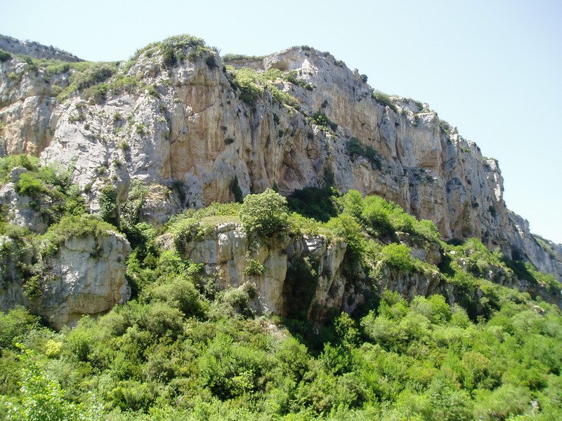 Arroileko hormak