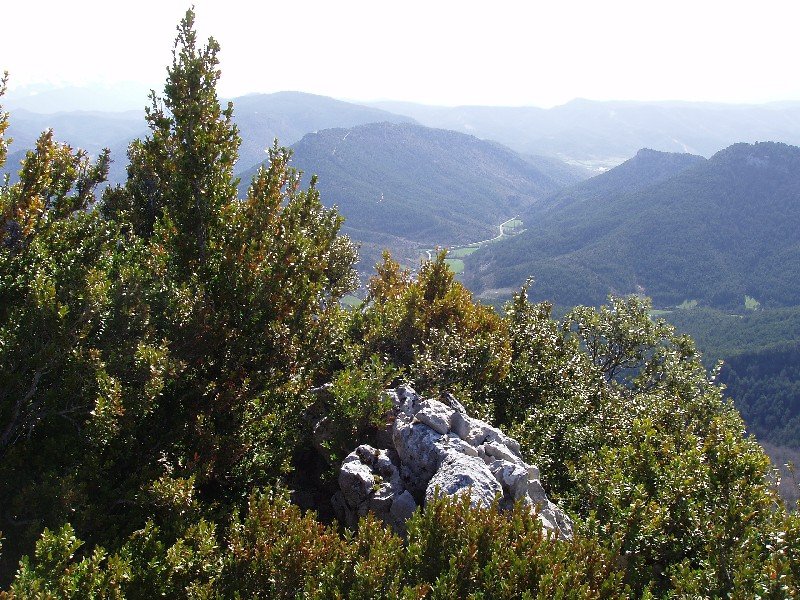 Urizabeko gailurra
