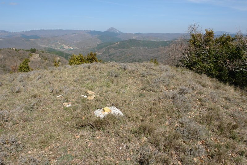 Tontorra