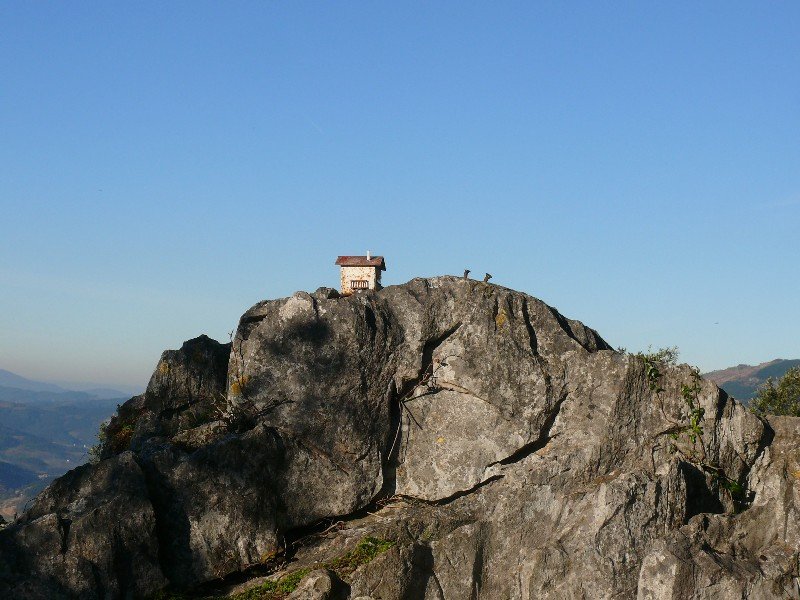 Buzoia