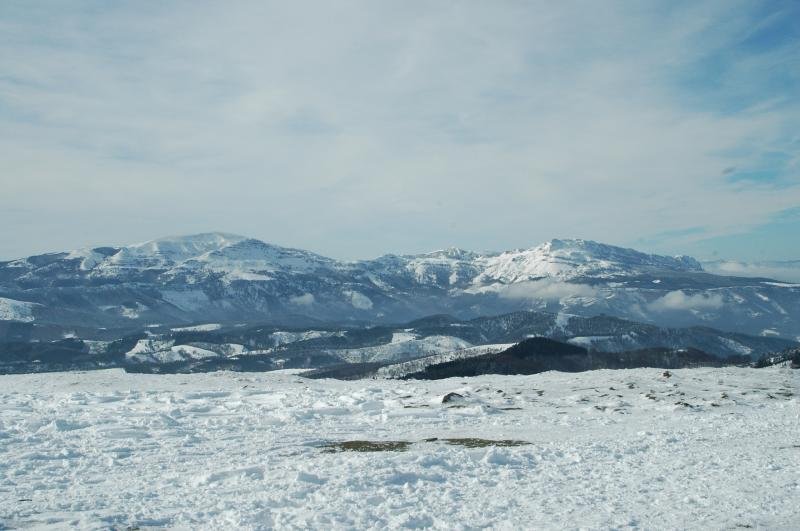 GORBEIA