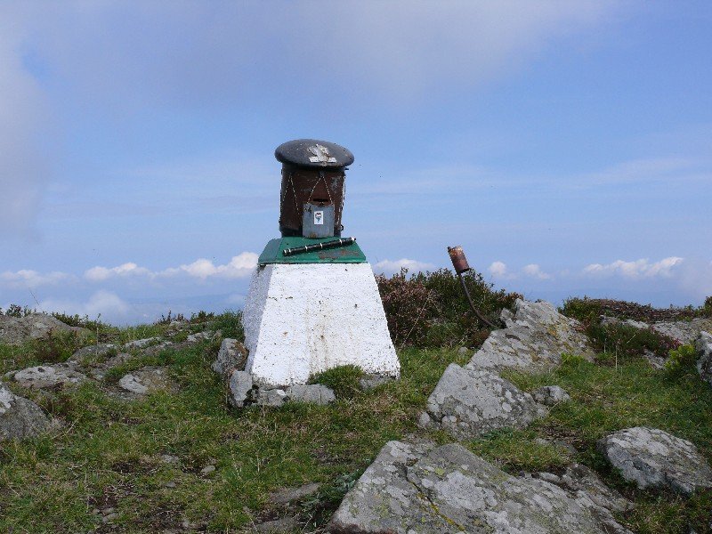 Buzoia
