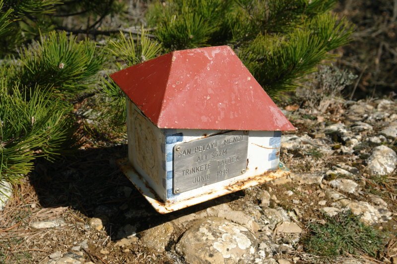 Buzoia