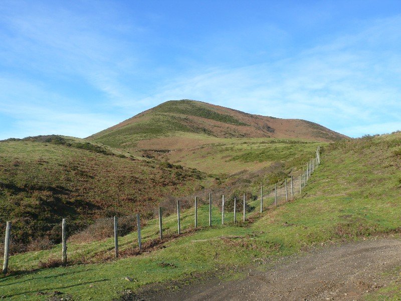 Armañon