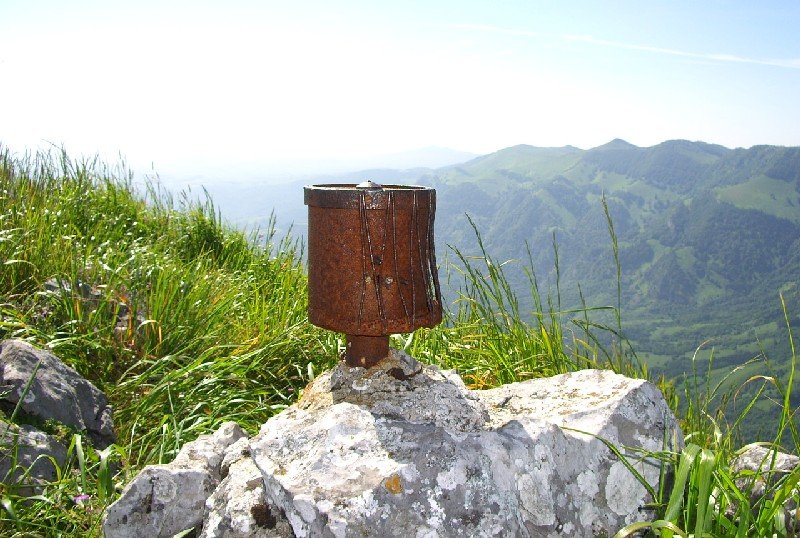 Buzoi Zaharra