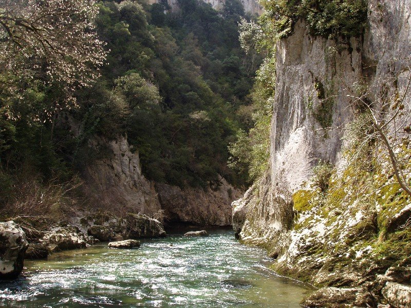 Arbaiunen barrena