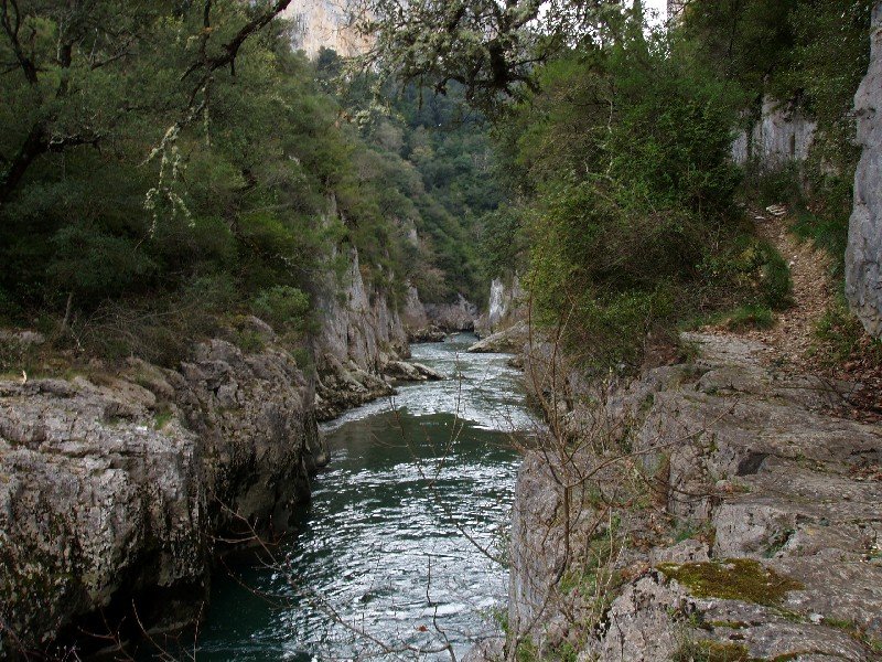 Arbaiunen barrena