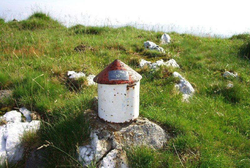 Buzoia