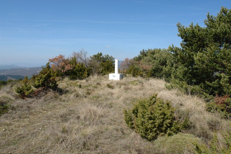Tontorra