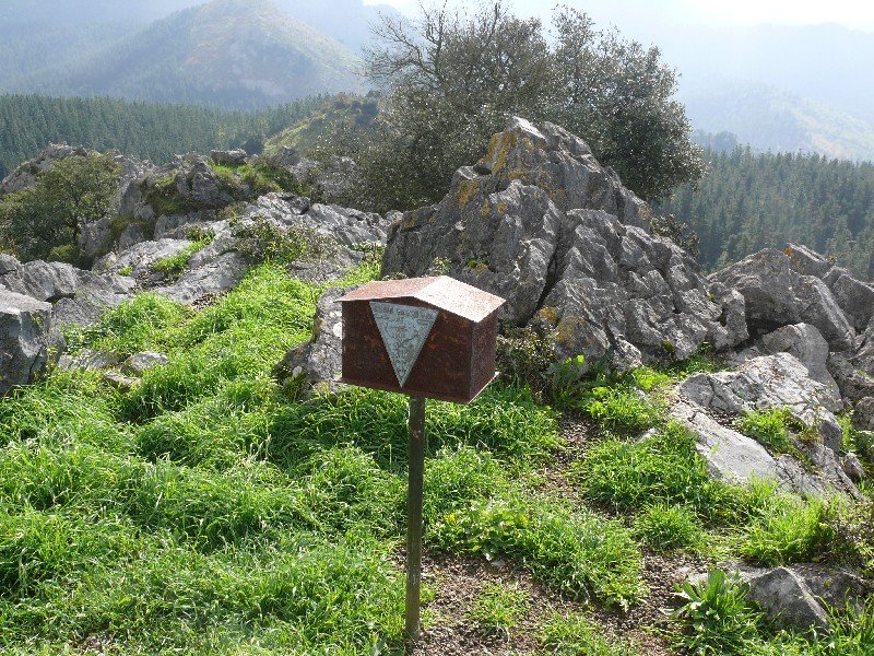 Buzoi Zaharra