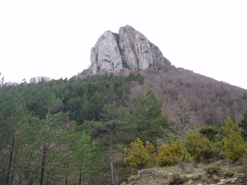 Aritzgaina (1246m)