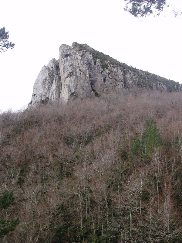 Aritzgaña (1246m)