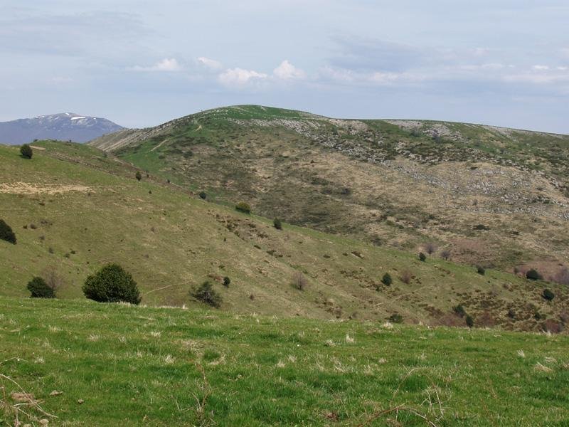 Auztarri